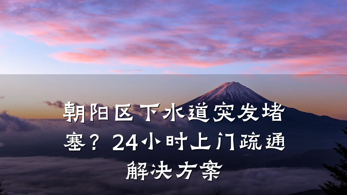 朝阳区下水道突发堵塞？24小时上门疏通解决方案