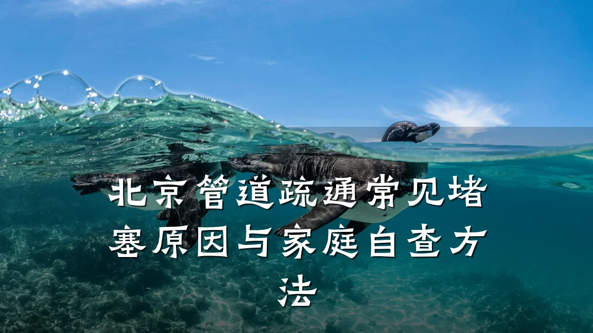北京管道疏通常见堵塞原因与家庭自查方法