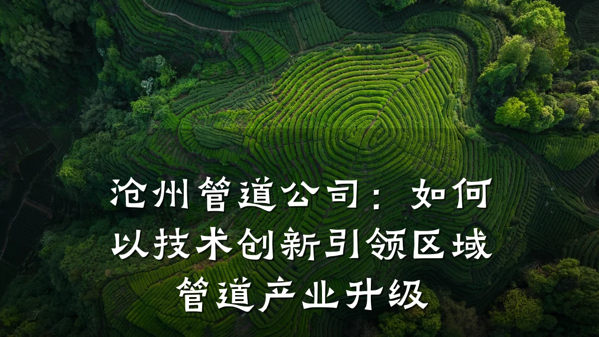 沧州管道公司:如何以技术创新引领区域管道产业升级