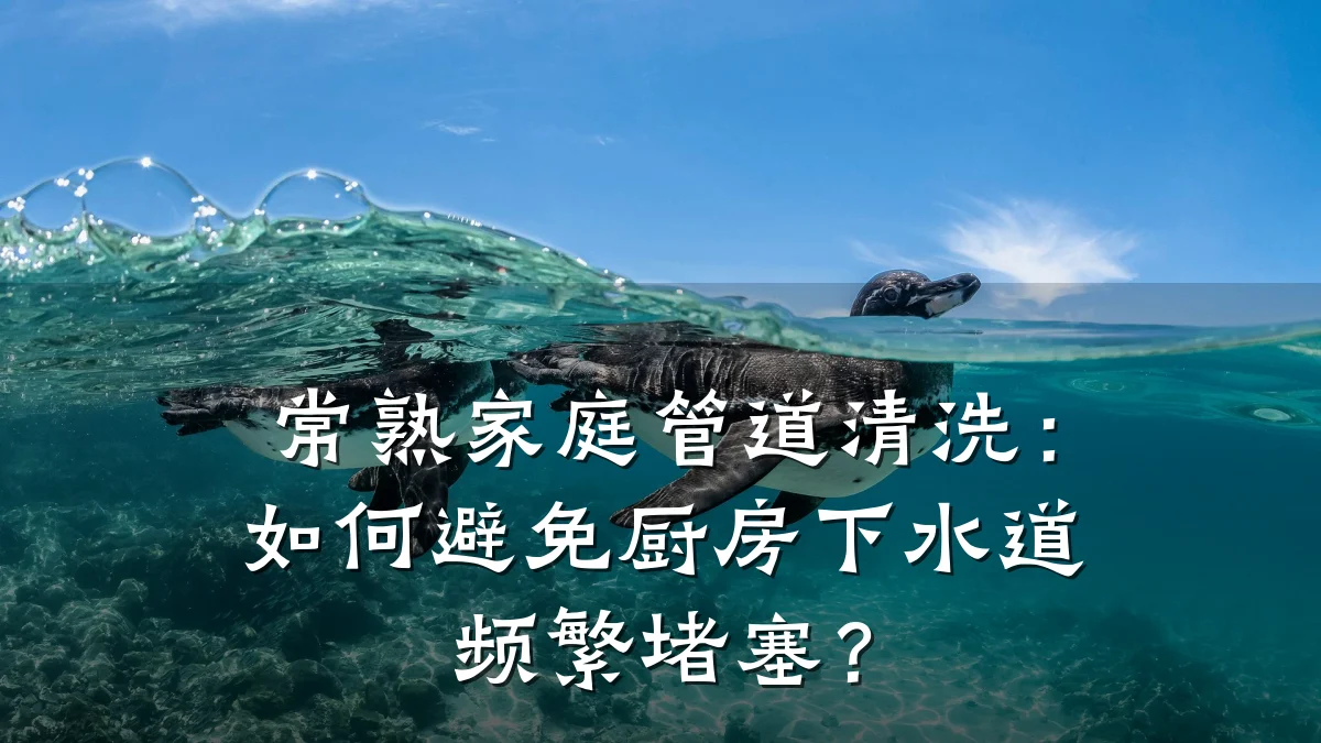 常熟家庭管道清洗:如何避免厨房下水道频繁堵塞?