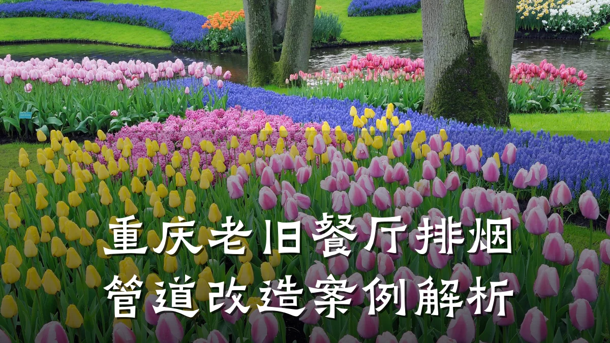 重庆老旧餐厅排烟管道改造案例解析