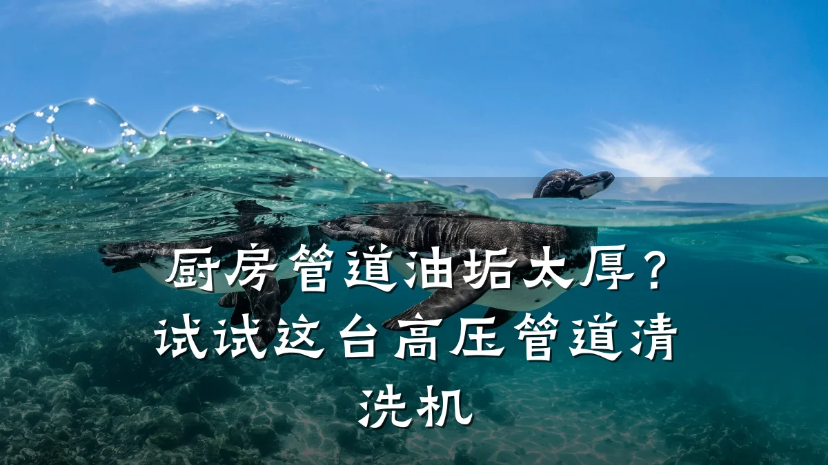 厨房管道油垢太厚?试试这台高压管道清洗机