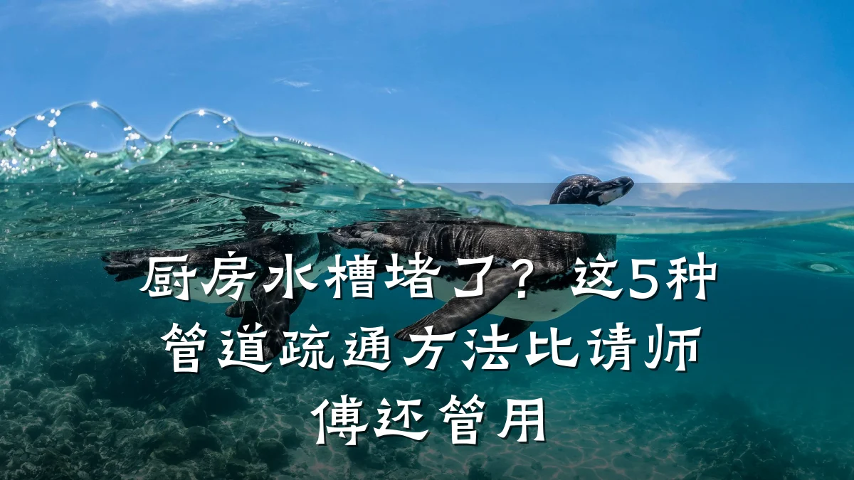 厨房水槽堵了？这5种管道疏通方法比请师傅还管用
