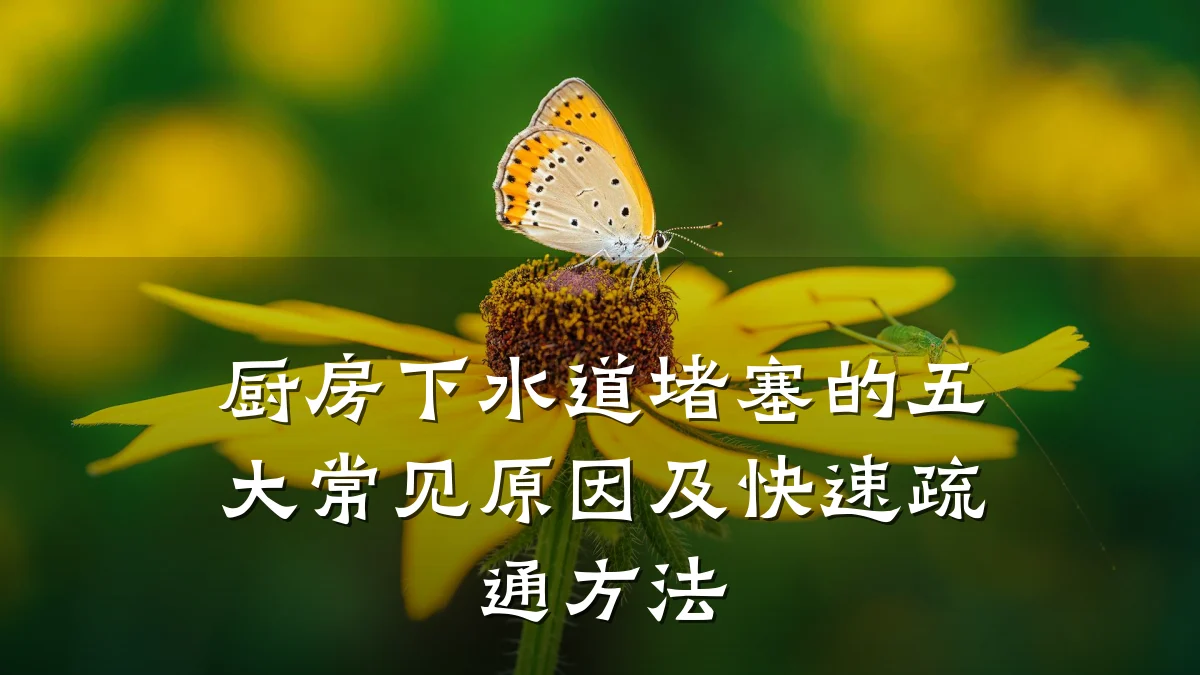 厨房下水道堵塞的五大常见原因及快速疏通方法