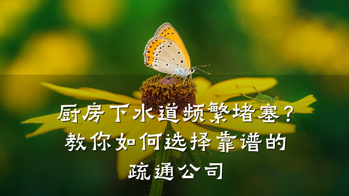 厨房下水道频繁堵塞?教你如何选择靠谱的疏通公司