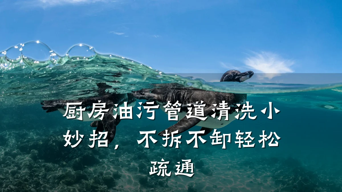 厨房油污管道清洗小妙招,不拆不卸轻松疏通