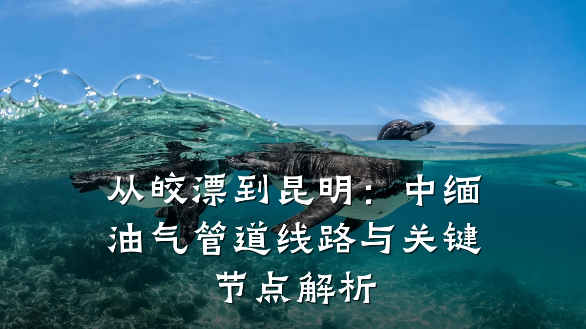 从皎漂到昆明:中缅油气管道线路与关键节点解析