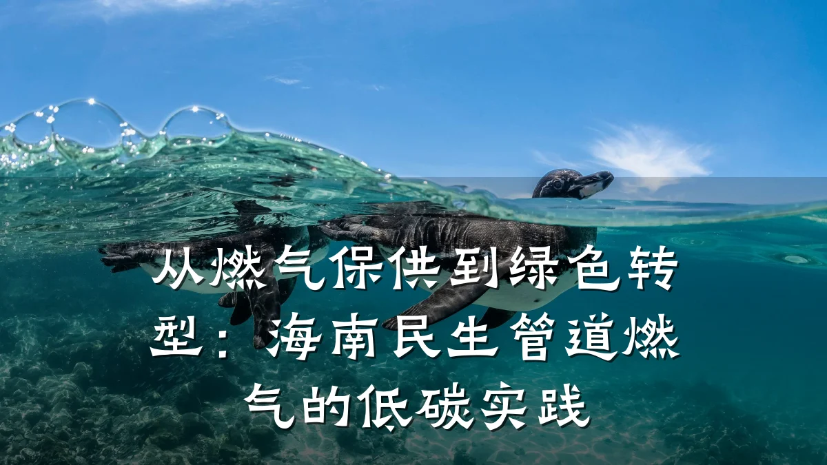 从燃气保供到绿色转型:海南民生管道燃气的低碳实践