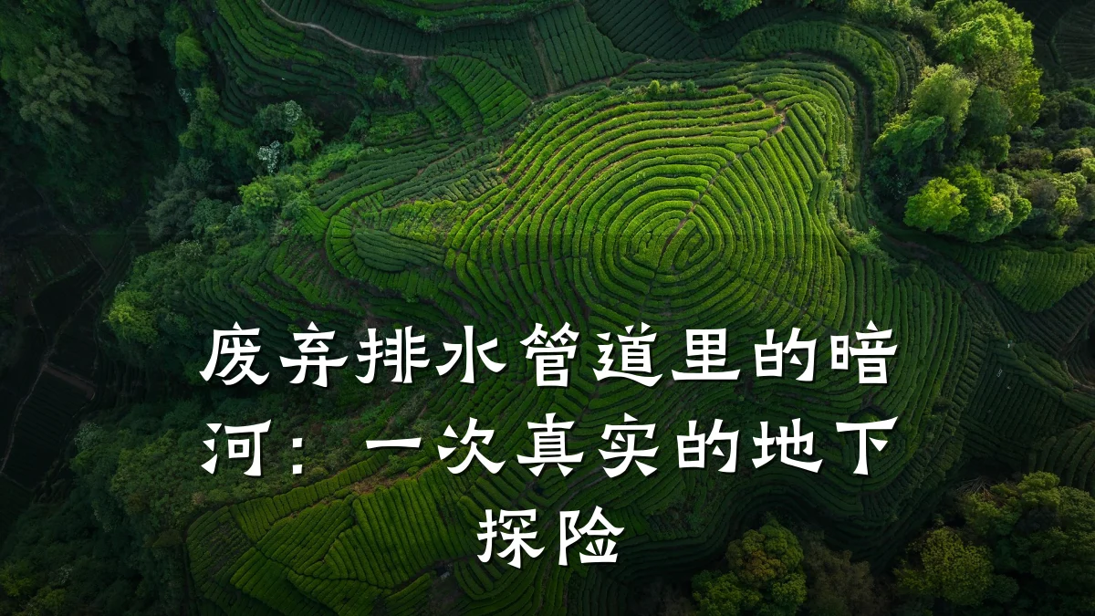 废弃排水管道里的暗河:一次真实的地下探险