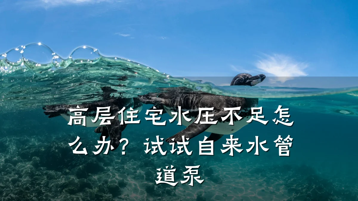 高层住宅水压不足怎么办?试试自来水管道泵