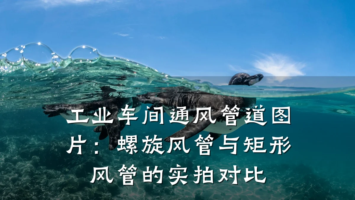 工业车间通风管道图片：螺旋风管与矩形风管的实拍对比