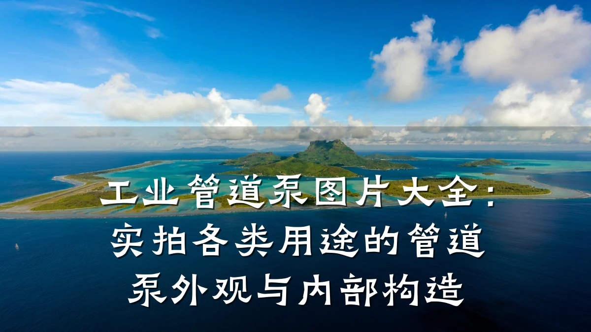 工业管道泵图片大全：实拍各类用途的管道泵外观与内部构造