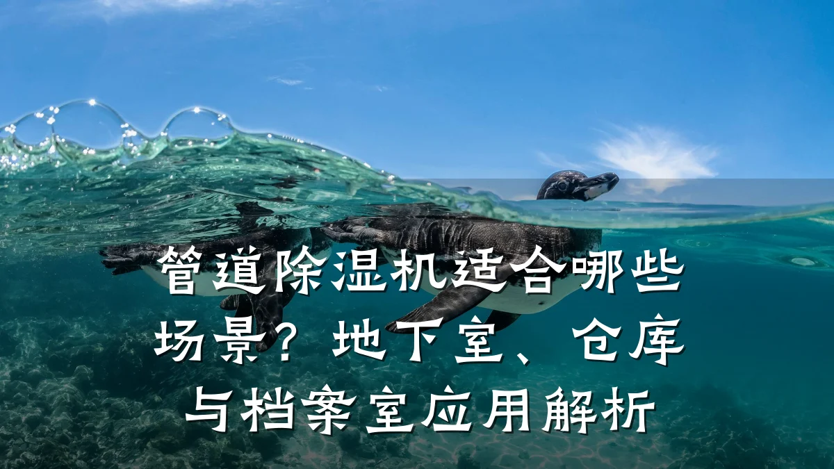 管道除湿机适合哪些场景?地下室、仓库与档案室应用解析