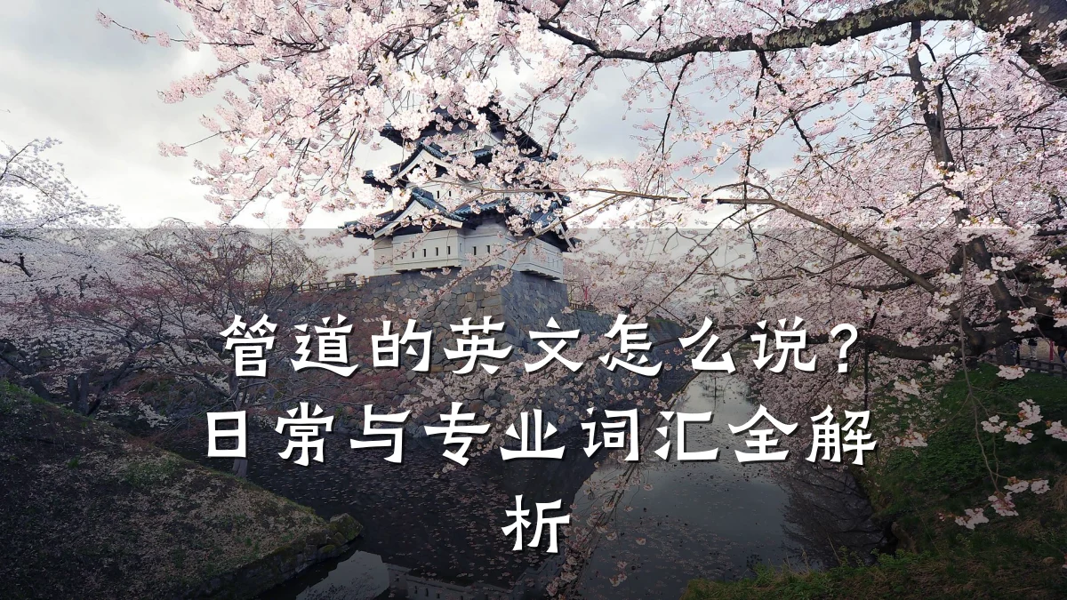 管道的英文怎么说?日常与专业词汇全解析
