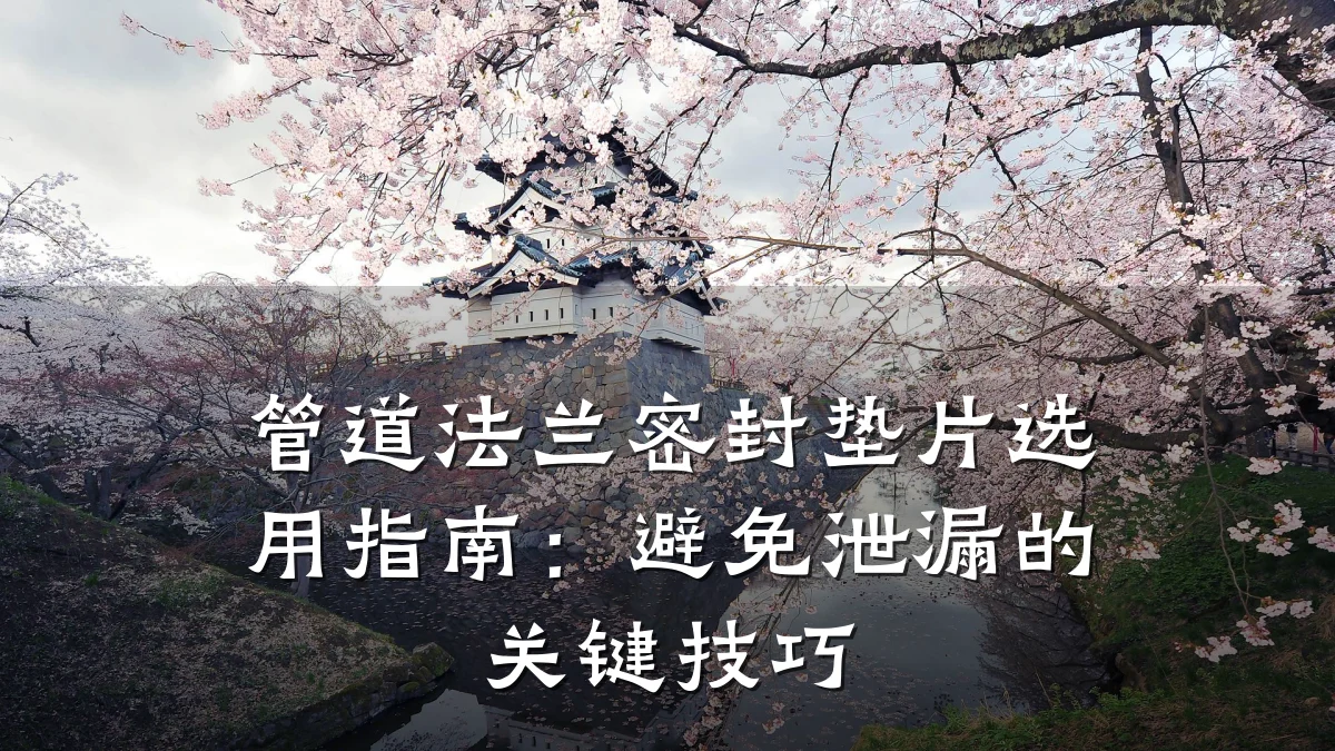 管道法兰密封垫片选用指南：避免泄漏的关键技巧