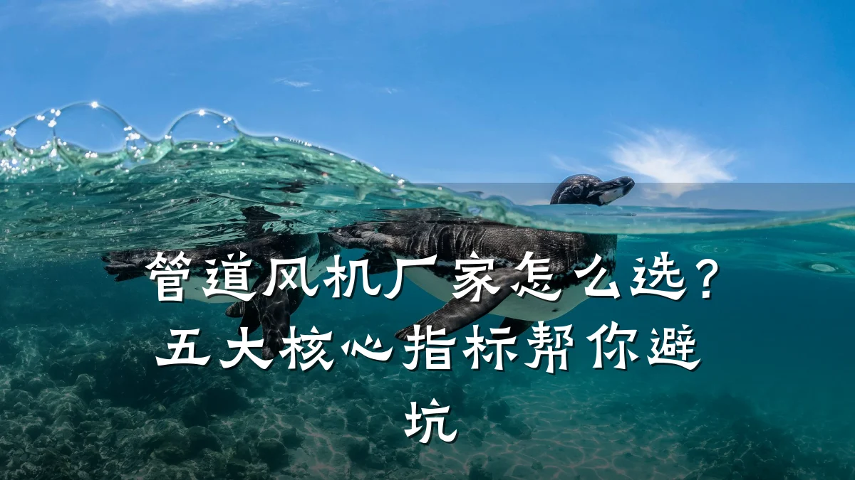 管道风机厂家怎么选?五大核心指标帮你避坑