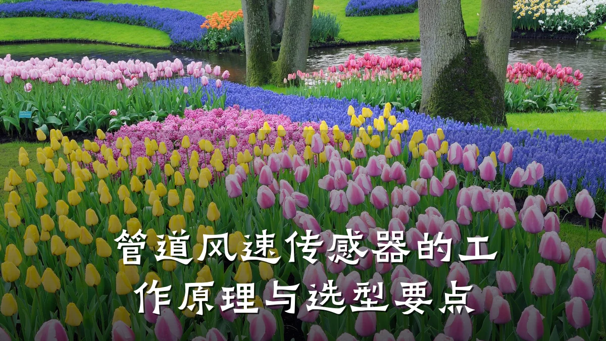 管道风速传感器的工作原理与选型要点
