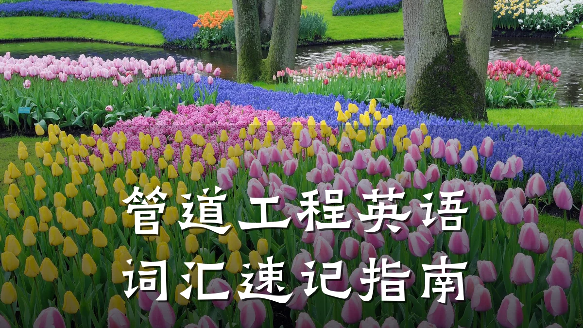 管道工程英语词汇速记指南