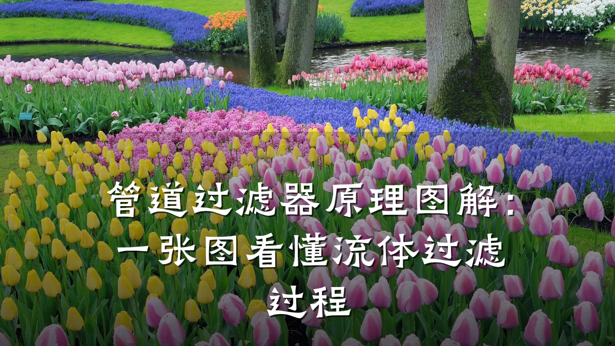 管道过滤器原理图解:一张图看懂流体过滤过程