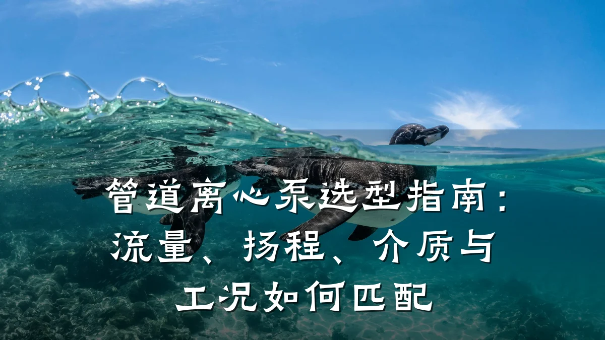 管道离心泵选型指南：流量、扬程、介质与工况如何匹配