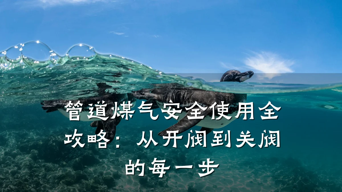管道煤气安全使用全攻略:从开阀到关阀的每一步