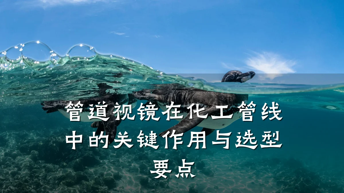 管道视镜在化工管线中的关键作用与选型要点