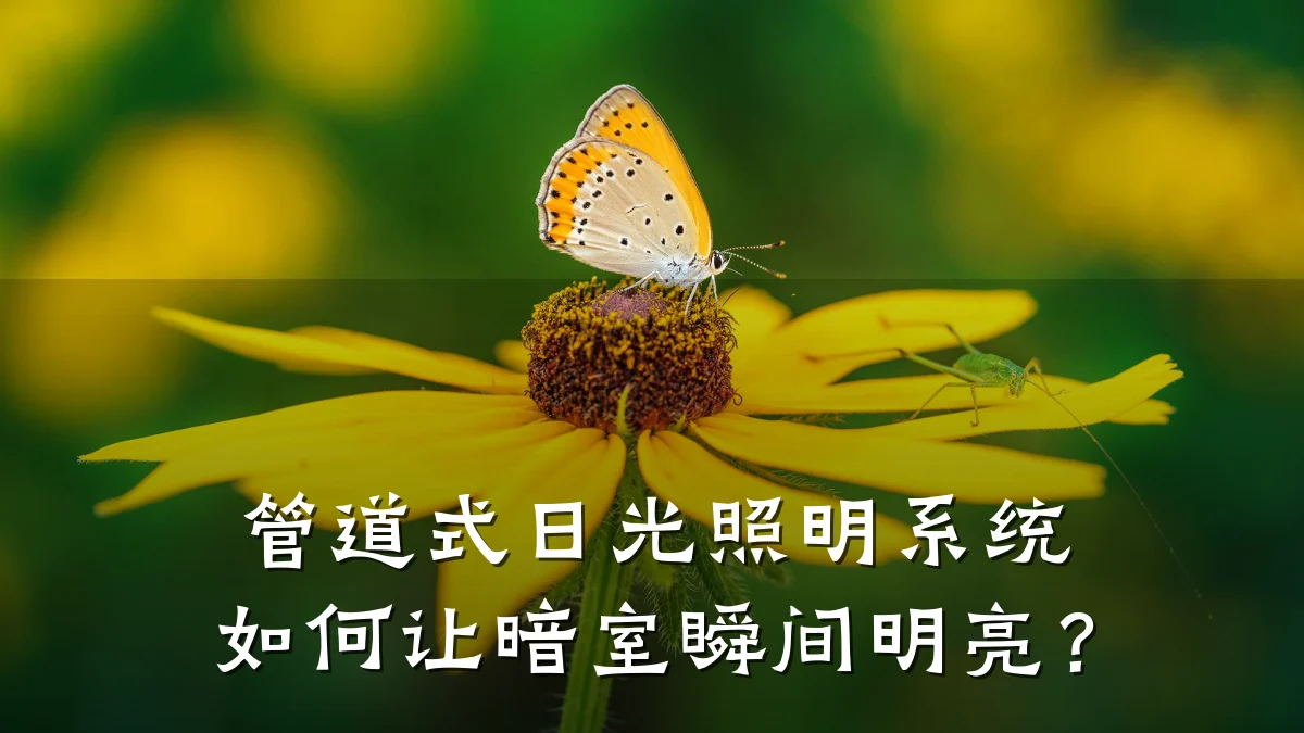 管道式日光照明系统如何让暗室瞬间明亮?