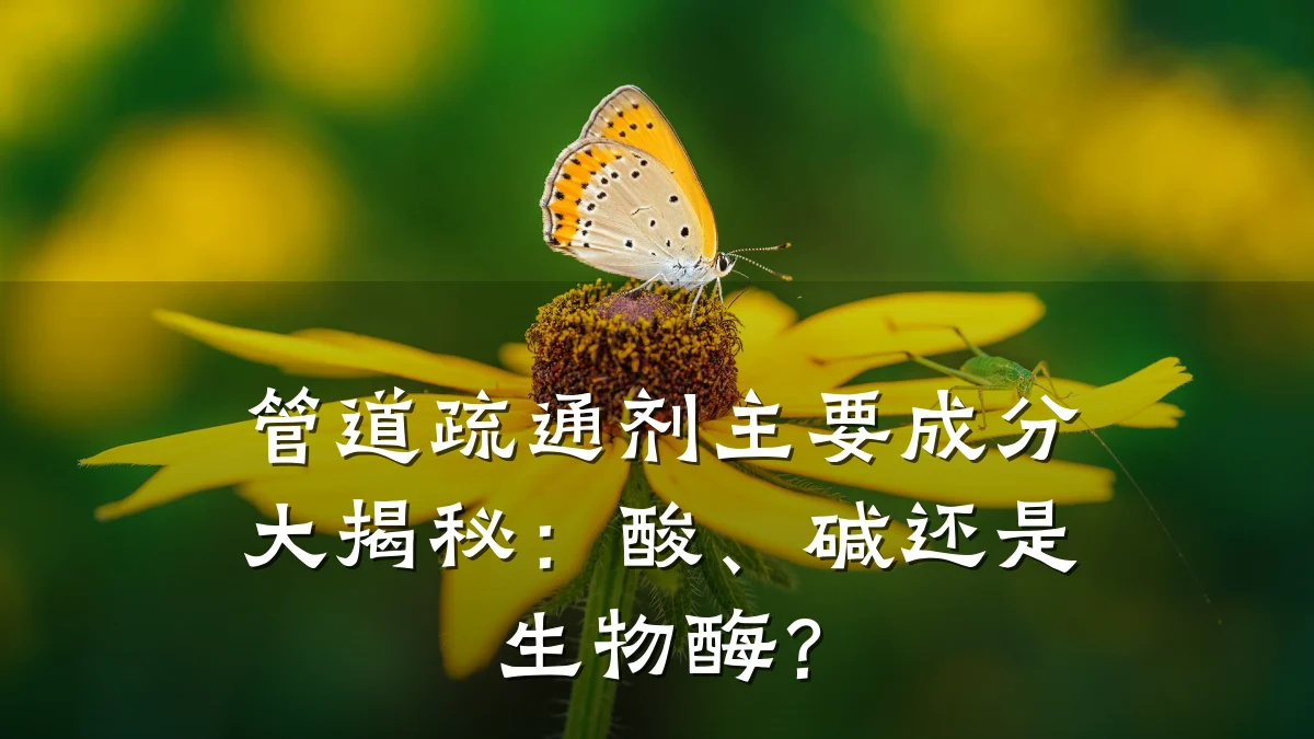 管道疏通剂主要成分大揭秘:酸、碱还是生物酶?
