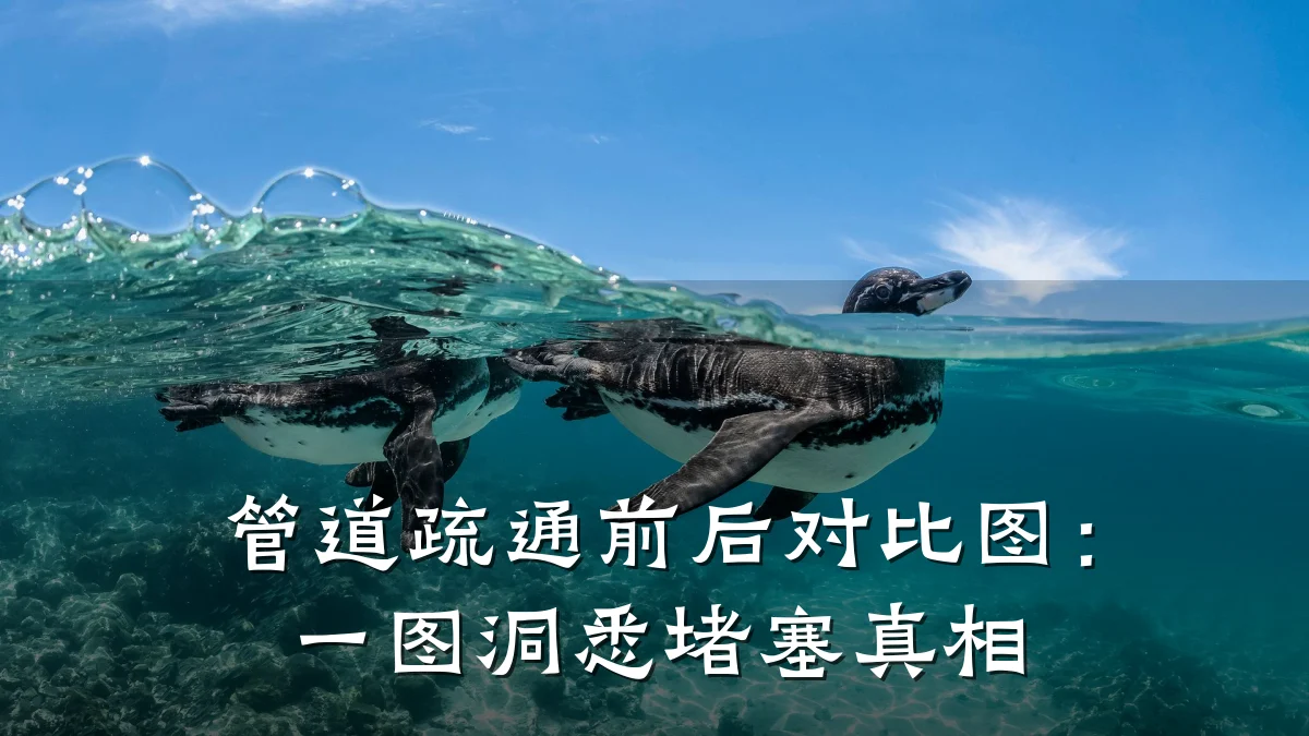 管道疏通前后对比图:一图洞悉堵塞真相