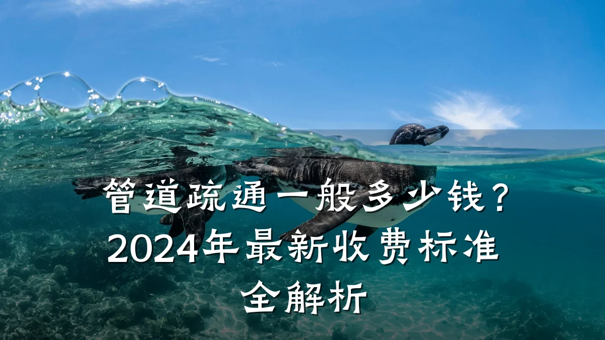 管道疏通一般多少钱?2024年最新收费标准全解析