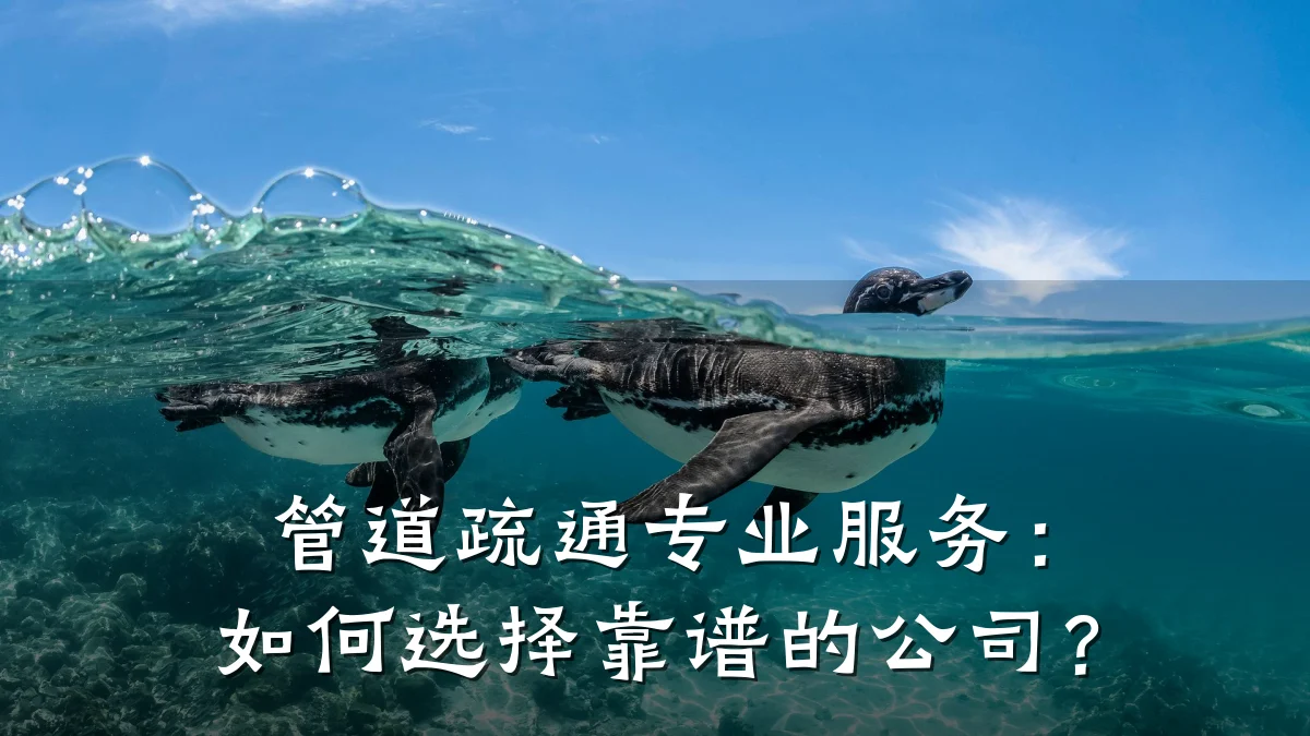 管道疏通专业服务：如何选择靠谱的公司？
