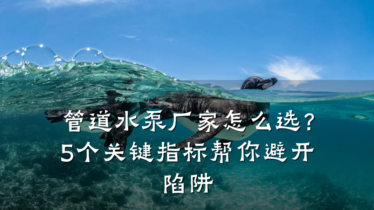 管道水泵厂家怎么选?5个关键指标帮你避开陷阱