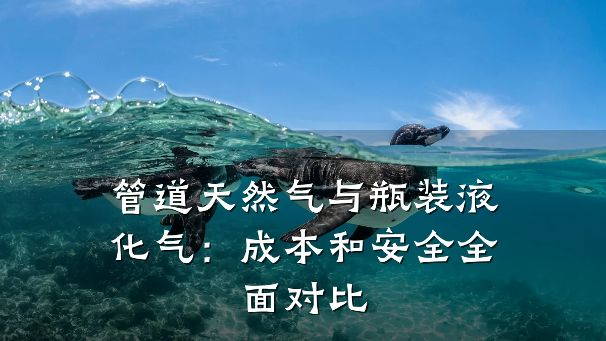 管道天然气与瓶装液化气：成本和安全全面对比