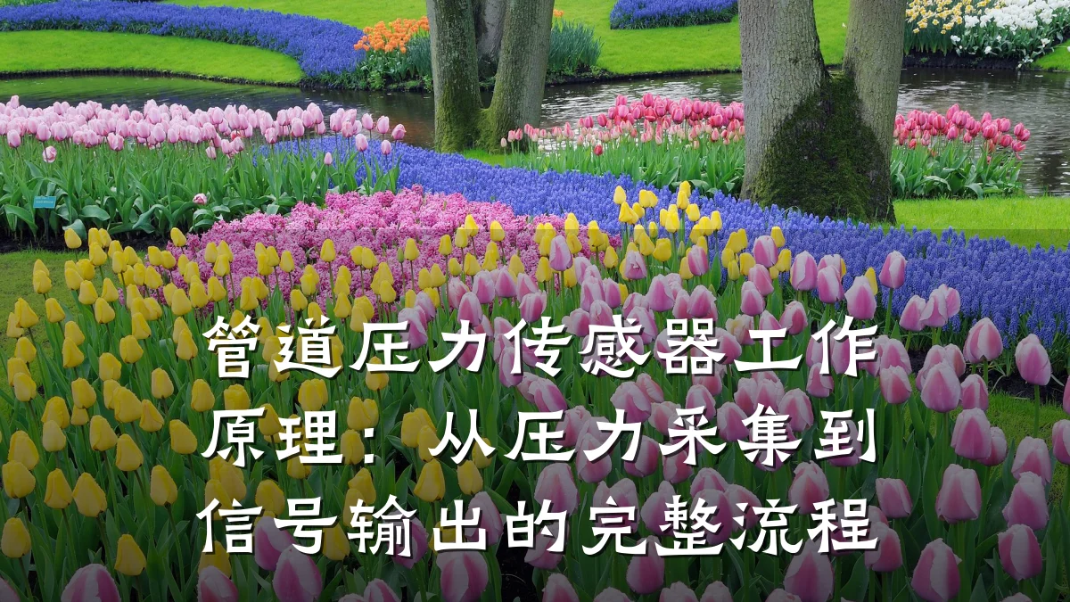 管道压力传感器工作原理:从压力采集到信号输出的完整流程