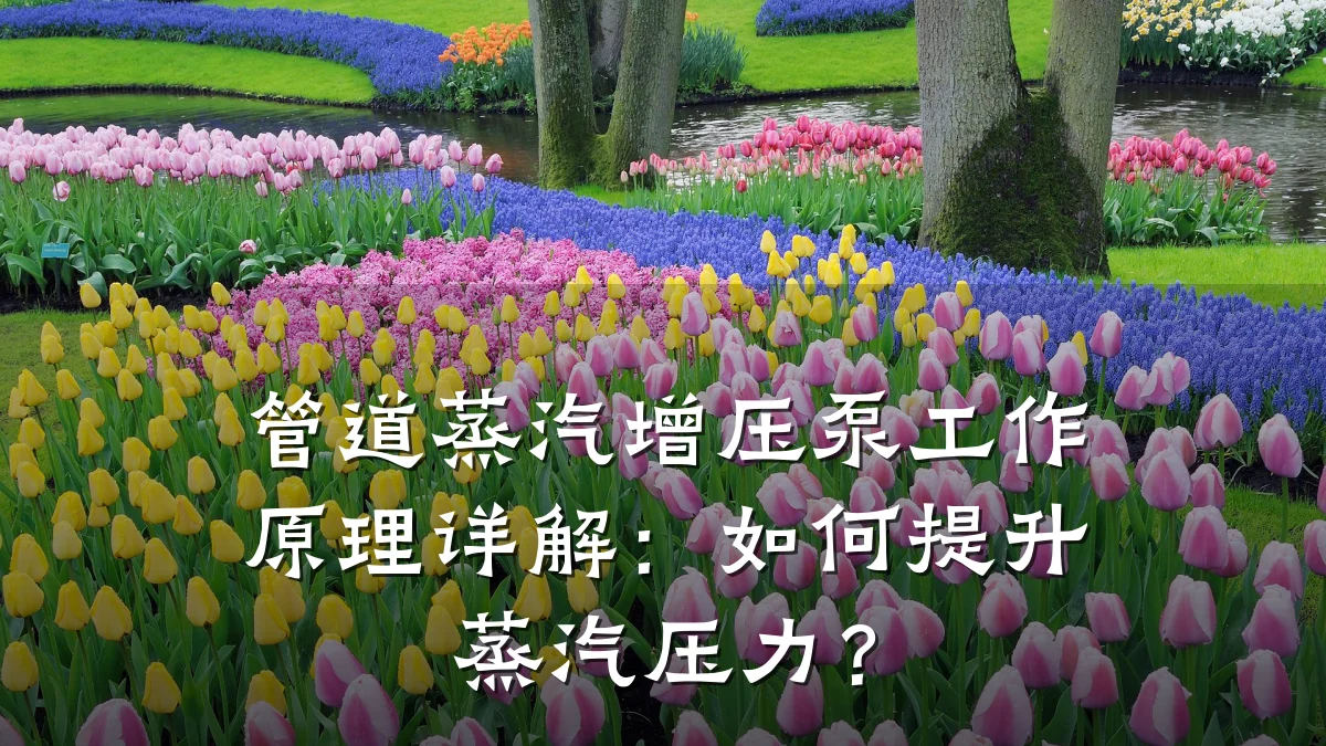 管道蒸汽增压泵工作原理详解:如何提升蒸汽压力?