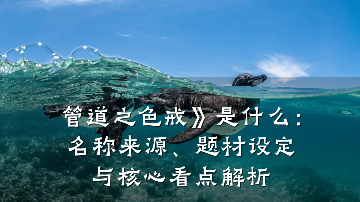管道之色戒》是什么:名称来源、题材设定与核心看点解析