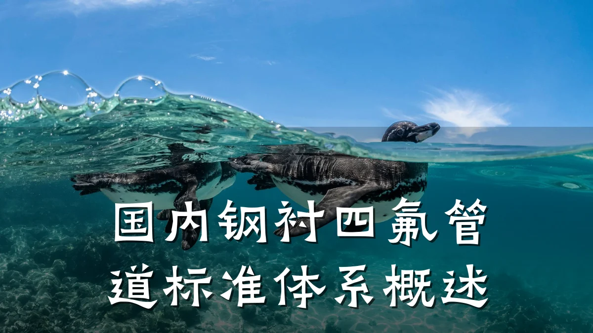 国内钢衬四氟管道标准体系概述