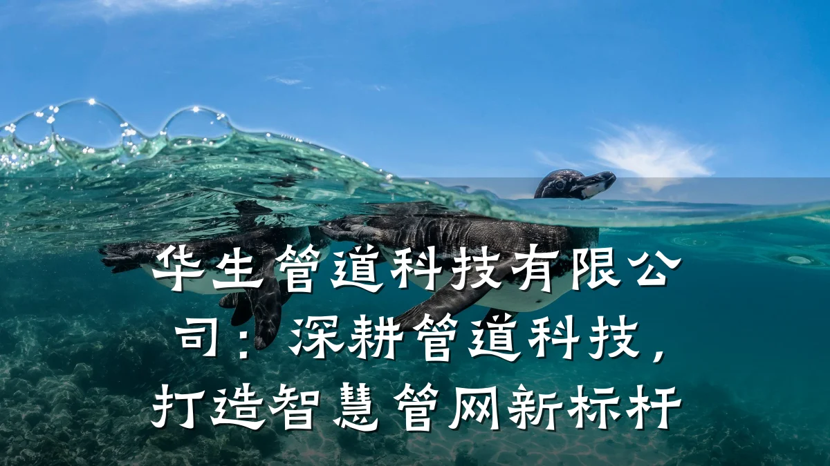 华生管道科技有限公司:深耕管道科技,打造智慧管网新标杆