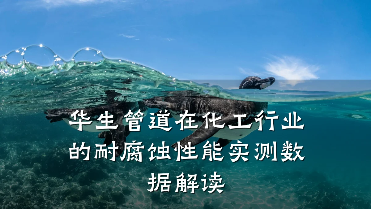 华生管道在化工行业的耐腐蚀性能实测数据解读