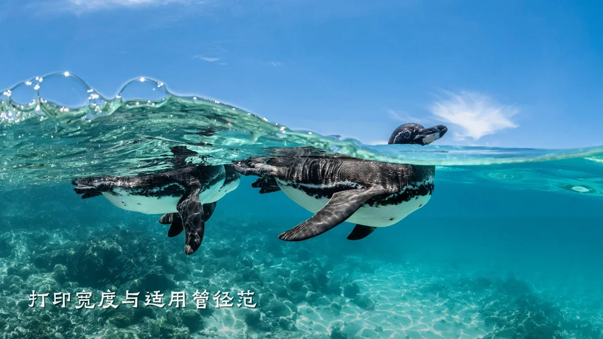 打印宽度与适用管径范