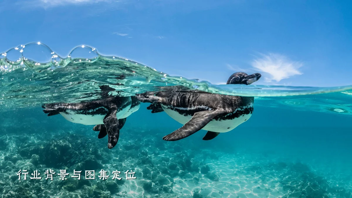 行业背景与图集定位