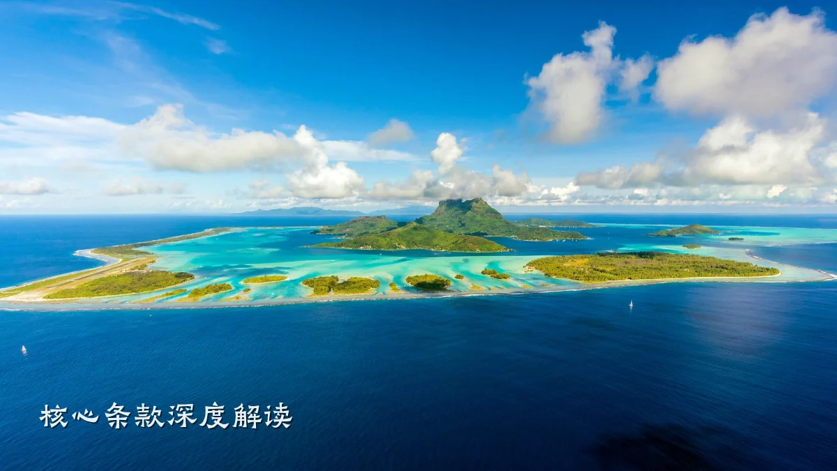 核心条款深度解读