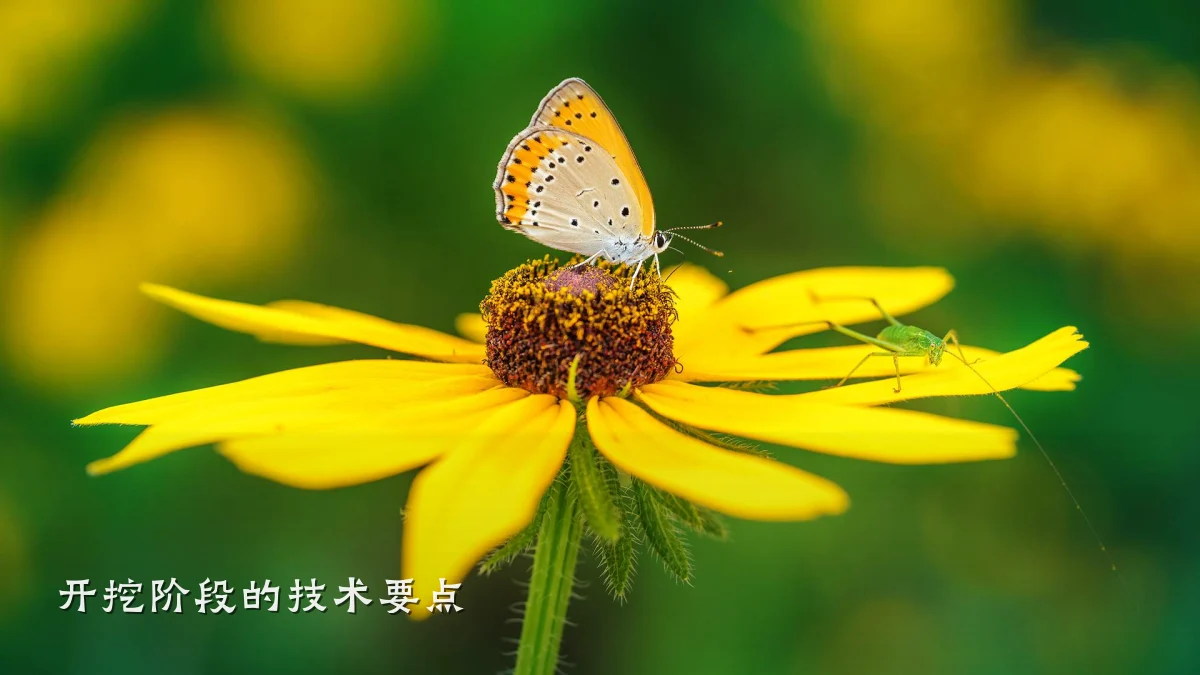 开挖阶段的技术要点