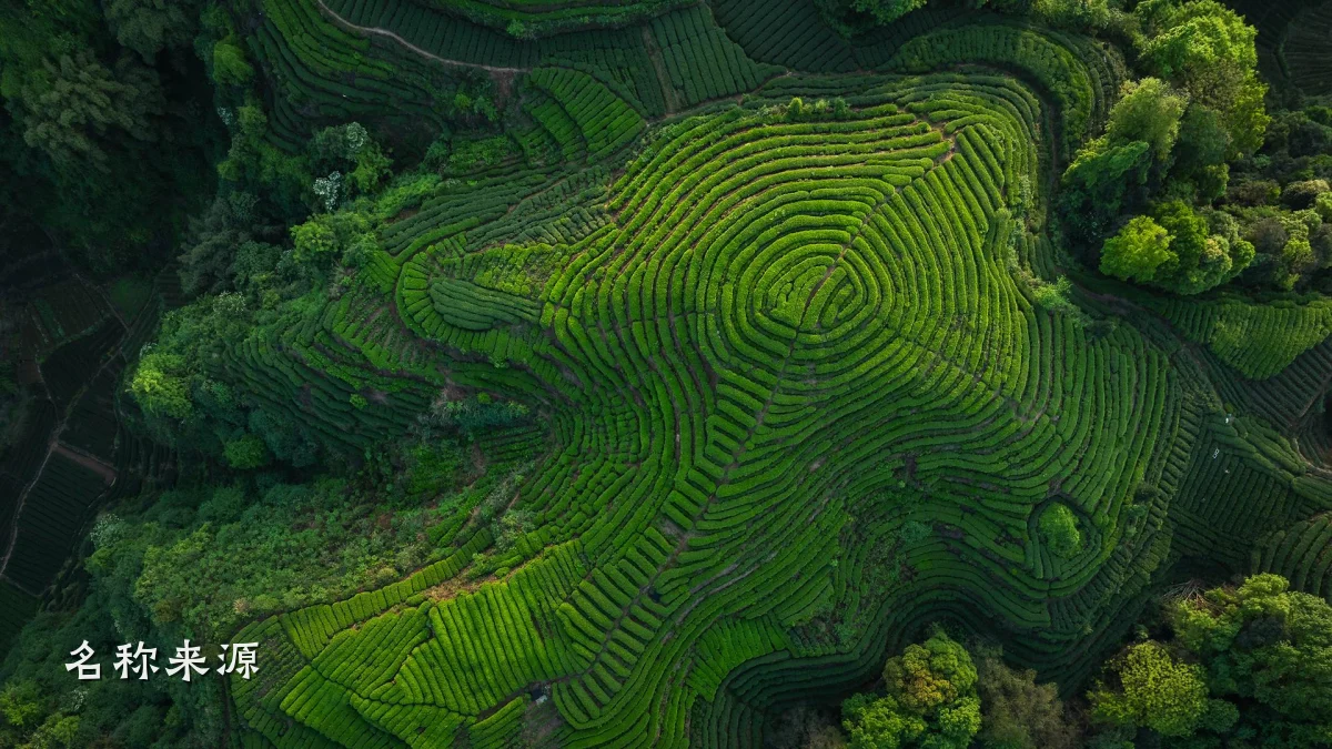 名称来源