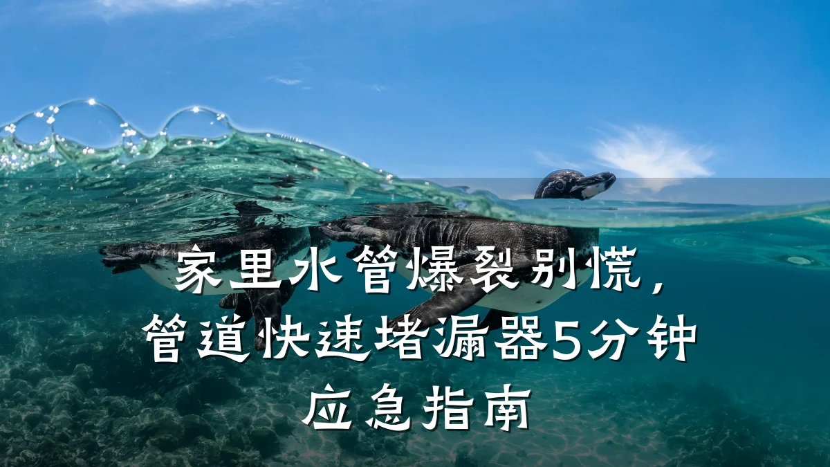 家里水管爆裂别慌,管道快速堵漏器5分钟应急指南