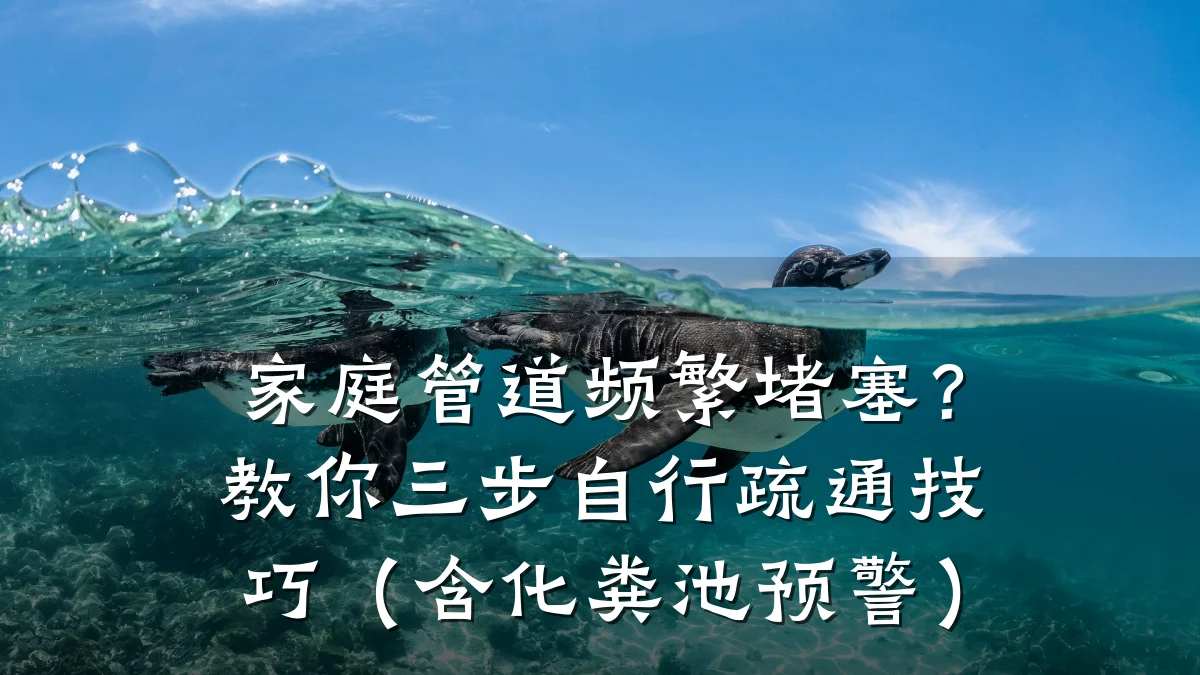 家庭管道频繁堵塞?教你三步自行疏通技巧(含化粪池预警)