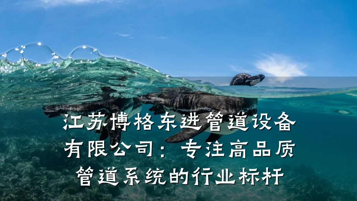 江苏博格东进管道设备有限公司:专注高品质管道系统的行业标杆