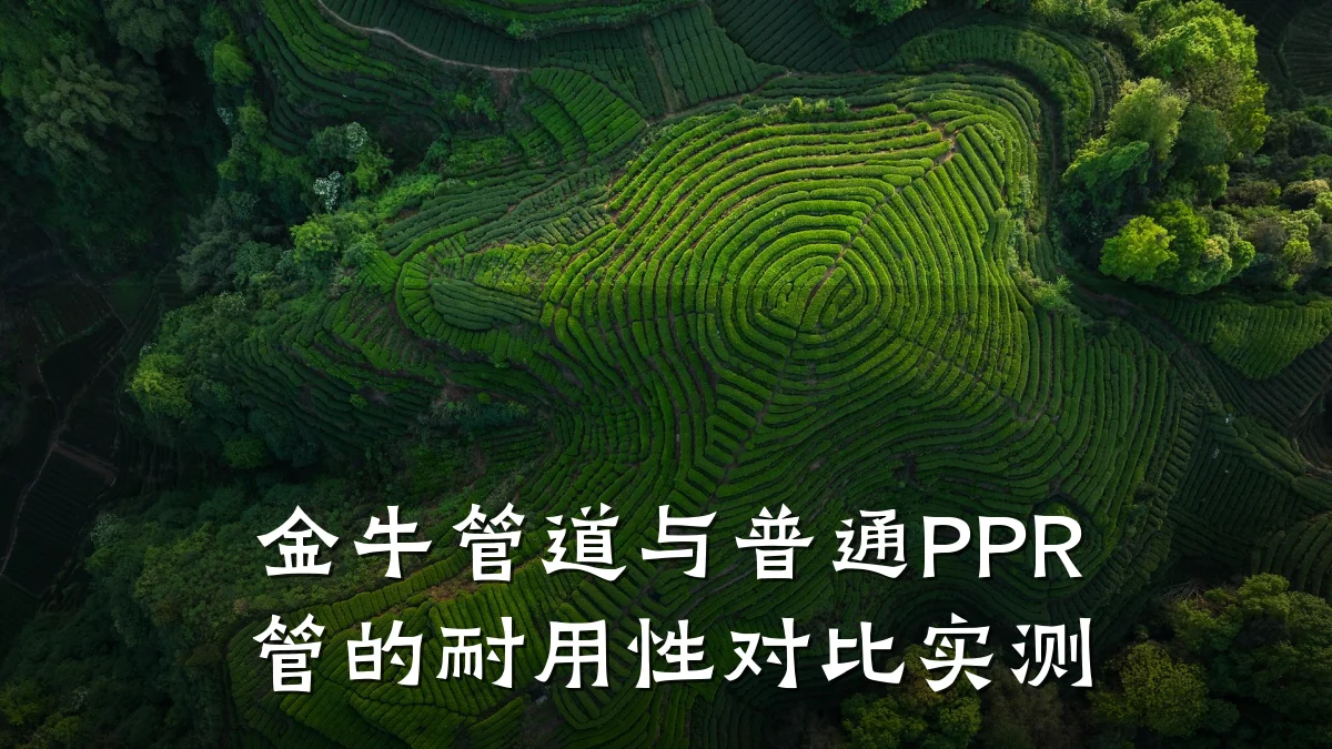 金牛管道与普通PPR管的耐用性对比实测