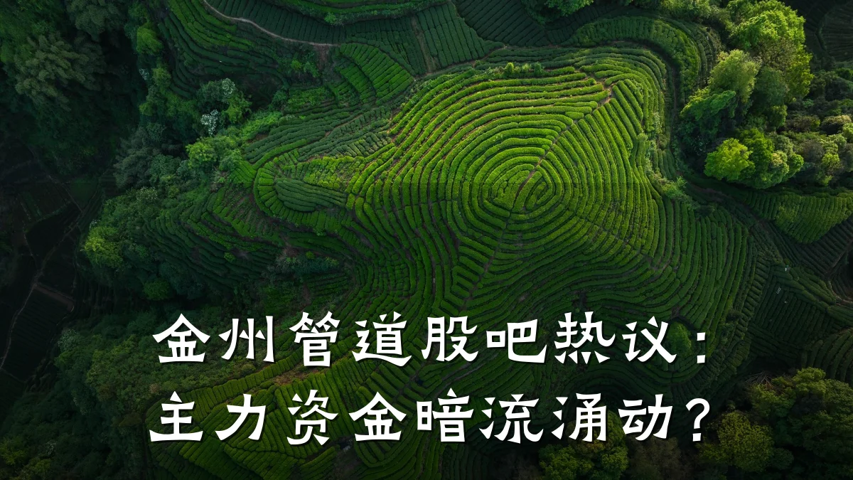 金州管道股吧热议：主力资金暗流涌动？