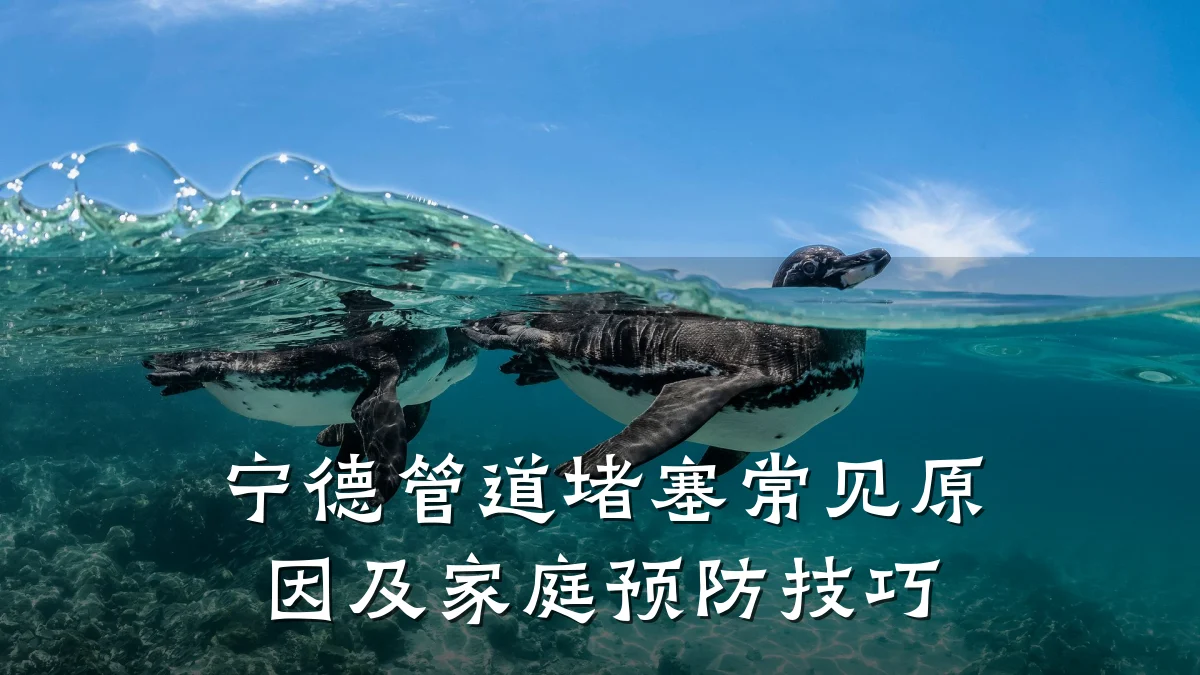 宁德管道堵塞常见原因及家庭预防技巧